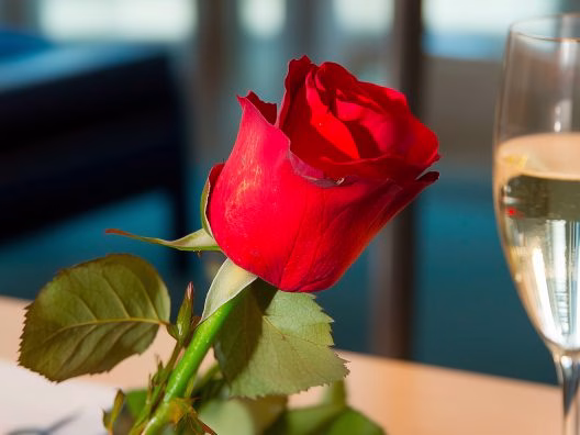 Rose rouge délicatement posée sur une table dressée pour un dîner croisière romantique sur la Seine à Paris | Paris en Scène